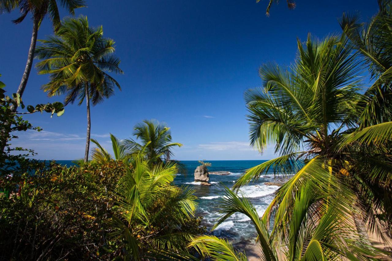 Manzanillo Caribbean Resort Puerto Viejo de Talamanca Εξωτερικό φωτογραφία