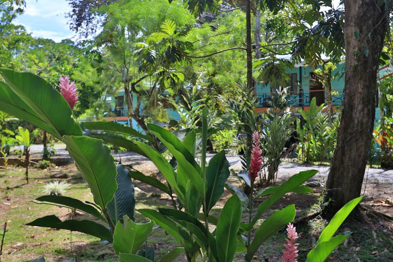 Manzanillo Caribbean Resort Puerto Viejo de Talamanca Εξωτερικό φωτογραφία